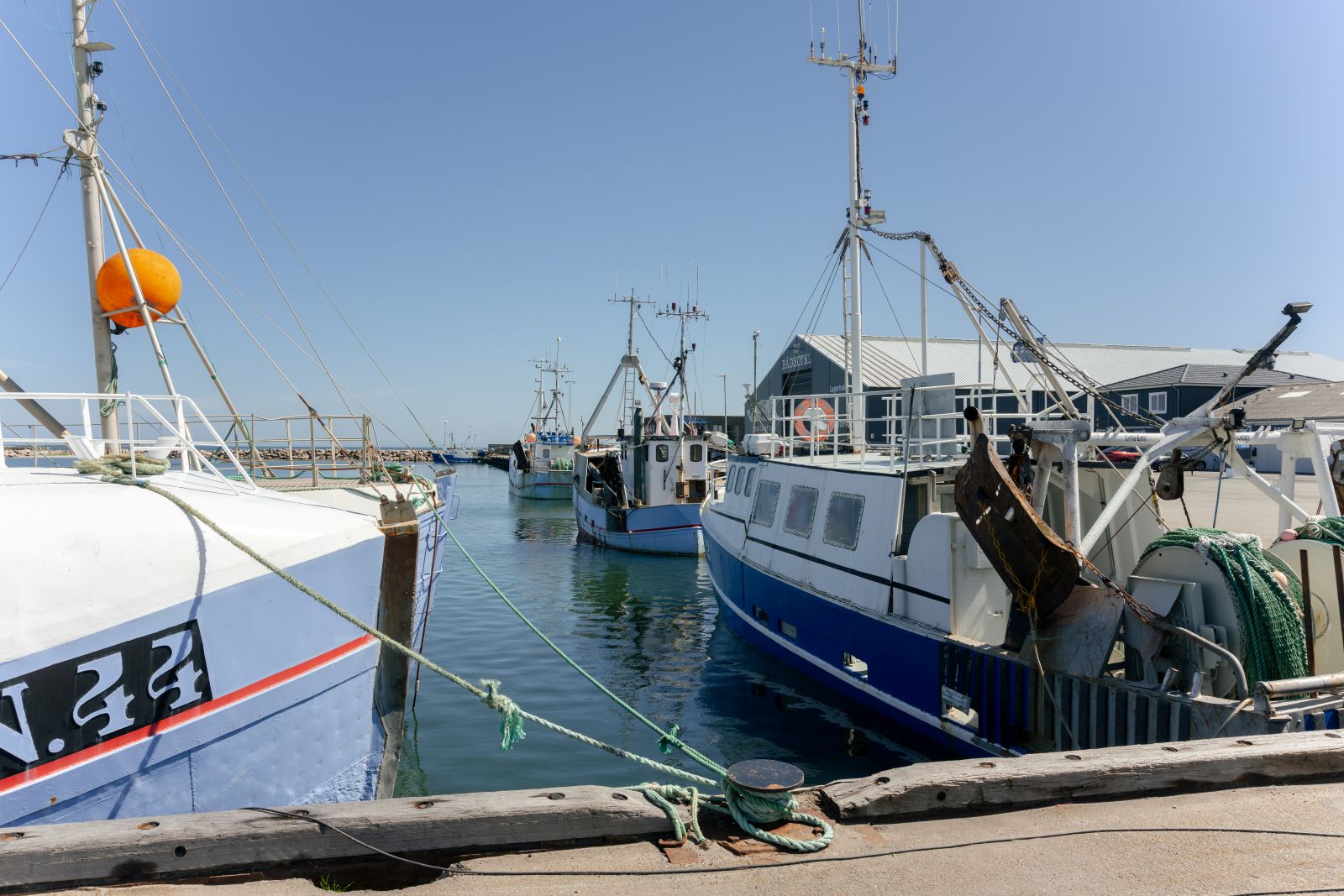 bannerslundstien-fra-plantage-til-kyst-enjoy-nordjylland